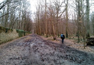 Trail Walking Clamart - Meudon la forêt - Photo