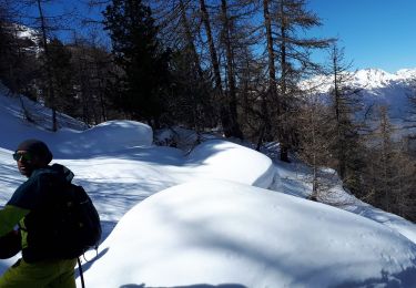 Excursión Esquí de fondo Crévoux - 210321 arête de la Ratelle - Photo