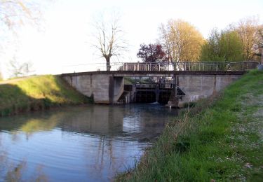 Randonnée A pied Puch-d'Agenais - Damazan, la Bastide du Canal de Garonne - 9,8km - Photo
