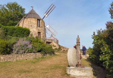 Tour Wandern Lautrec - Lautrec - Photo