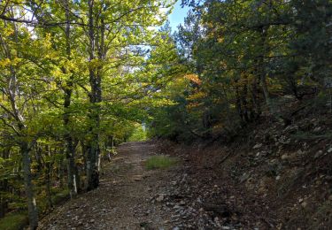 Trail Walking Sault - Verdolier-Frâche - Photo