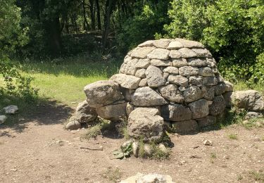 Randonnée Marche Peyruis - ganagobie auges 683m 21kms - Photo