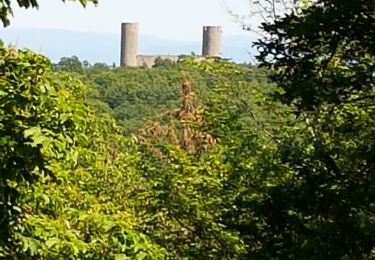 Randonnée Marche Mittelbergheim - BARR - LES 3 CHATEAUX (LANDSBERG- SPESBOURG -ANDLAU) - Photo