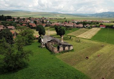 Randonnée A pied Miercurea Ciuc - Via Mariae M12-11 - Photo