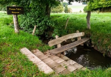 Tour Zu Fuß Berkatal - Premiumweg P2 Frankershäuser Karst - Photo