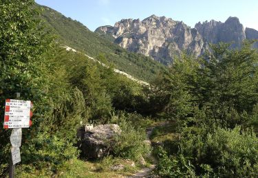 Randonnée A pied Recoaro Terme - 120, dei Grandi Alberi - Photo