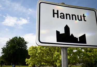 Excursión Bicicleta Hannut - Beau Vélo de Ravel - Hannut 2023 - Photo