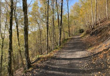 Tour Wandern La Louvière - Saint-Vaast / Terrils / 2020-11-03 / 15 km - Photo