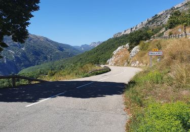 Trail Road bike Castellane - castellane vente 80kms 1300m de D+ - Photo