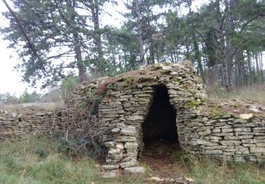 Tour Wandern Magny-lès-Villers - magny 12 12 19  - Photo