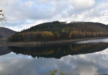 Trail Walking Stavelot - 20201110 - Coo 7.5 Km - Photo