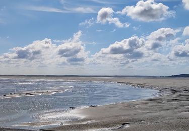 Trail Walking Cayeux-sur-Mer - hourdel phoques marée basse - Photo