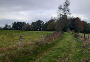 Tour Wandern Theux - gervova . chemin du ninglinspo . chifgotte . charmille . gervova - Photo