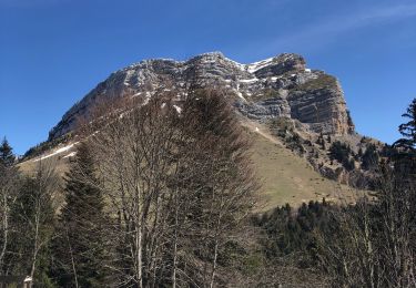 Tocht Wegfiets Biviers - Col du coq 9-4-21 - Photo