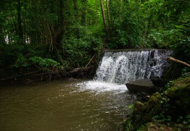 Trail Walking Frocourt - 20220814 Marche en extérieur - Photo