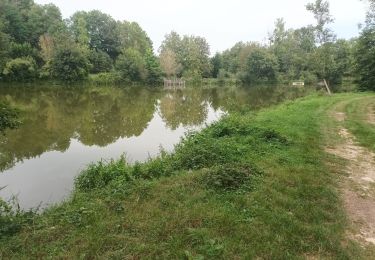 Tocht Stappen Saint-Didier-de-Bizonnes - etang la frette - Photo