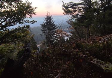 Tocht Stappen Orbey - Vallée des 5 lacs  - Photo