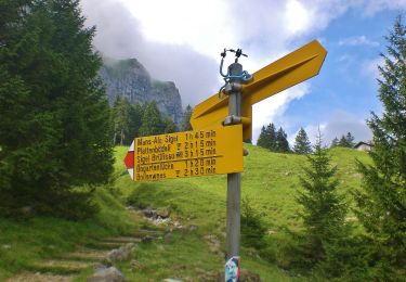 Trail On foot Schwende - Klein-Hütten - Meglisalp - Photo
