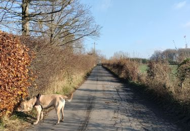 Randonnée Marche Verviers - Drève de maison bois  - Photo