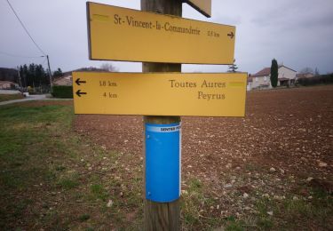 Tour Wandern Saint-Vincent-la-Commanderie - bois des masques/ St Vincent la Commanderie - Photo