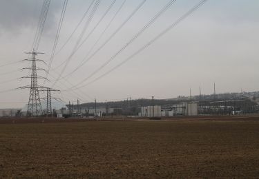 Randonnée A pied Gemmrigheim - DE-SAV Roter Punkt, Gemmrigheim - Mundelsheim - Photo