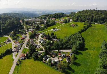 Tour Zu Fuß Freyung - Rundwanderweg Nr. 6 