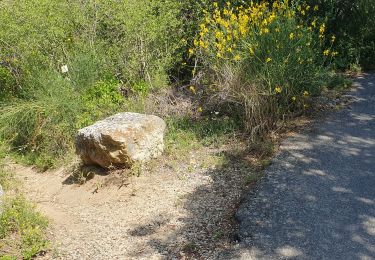 Tocht Stappen Gordes - village bories towards hotel bories - Photo