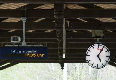 Tour Zu Fuß Friedrichroda - Rundweg Friedrichroda - Photo