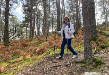 Tocht Stappen Fontainebleau - Franchard mont aigu  - Photo