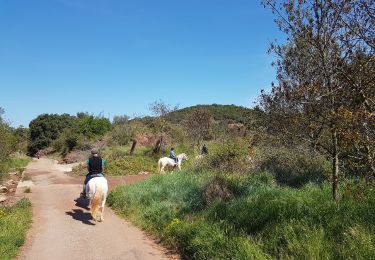 Tour Wandern Le Bosc - Salelles Mougères Les Combes - Photo