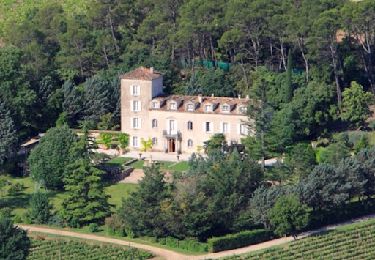 Tour Wandern Lorgues - Château Roubine - Photo