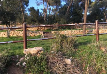 Trail On foot Mate Yehuda Regional Council - Meara stream - Photo