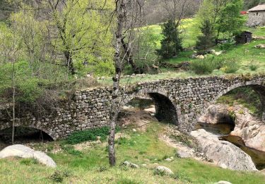 Trail Walking Montpezat-sous-Bauzon - Montpezat sous Bauzon/Le Villaret - Malfaugéres - Photo