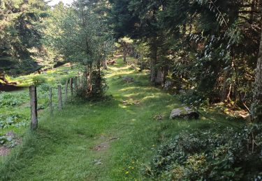 Randonnée Marche Adervielle-Pouchergues - boucle val louron  - Photo