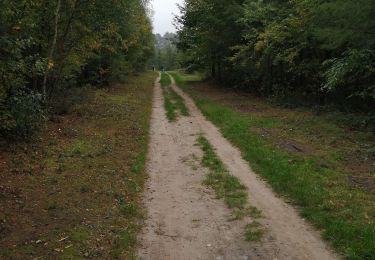 Trail Walking Court-Saint-Étienne - Promenade à La Roche et petit aller-retour vers le ruisseau - Photo