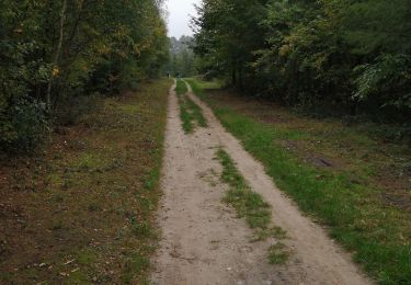 Percorso Marcia Court-Saint-Étienne - Promenade à La Roche et petit aller-retour vers le ruisseau - Photo