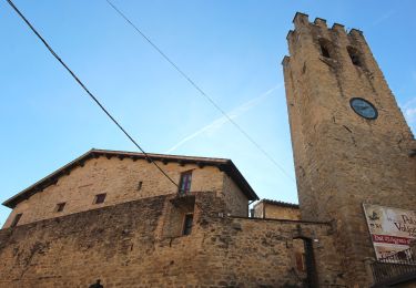 Tocht Te voet Valfabbrica - Via di Francesco - Tappa 10 Valfabbrica-Assisi - Photo