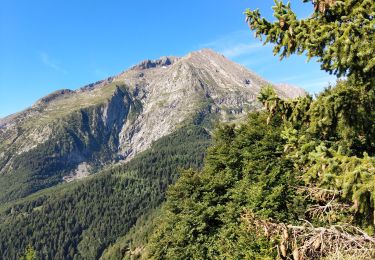 Trail Walking Ornon - Plateau des lacs, lac Fourchu. par bergerie - Photo