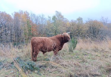 Randonnée Marche Liège - entre ourthe et lande (privatisée) - Photo