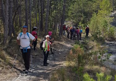 Trail Walking Aubignosc - Boucle des Canayons depart Aubignosc  390 + - Photo