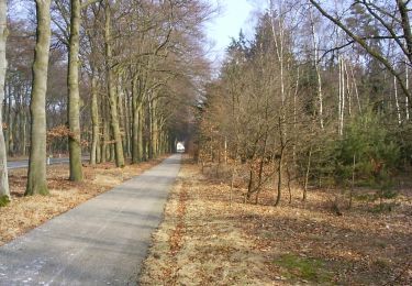 Trail On foot Ede - Buunderkamp - Rode pijl - Photo