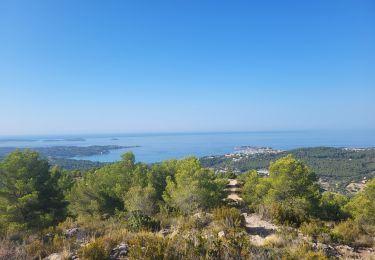 Trail Walking Le Castellet - Traversée du Gros Cerveau - forteresses et grotte - Photo