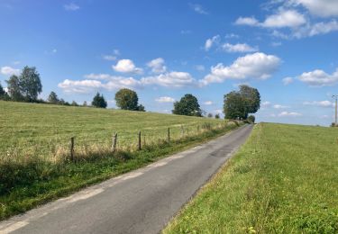 Tocht Hybride fiets Beauraing - Pussemange fin - Photo