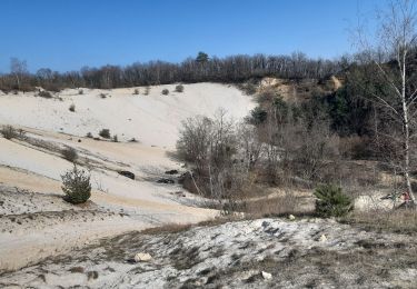 Tour Wandern Cheptainville - gogottes Sylv. 20 mars2021 - Photo