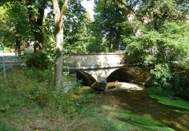 Excursión A pie Deißlingen - SAV rote Gabel Wildenstein - Maienbühl Dauchingen Schwenningen - Photo