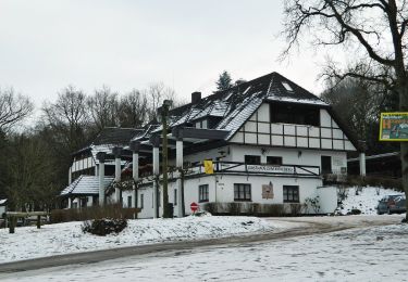 Randonnée A pied Rosengarten - Wander-Tour Schwarze Berge - Photo