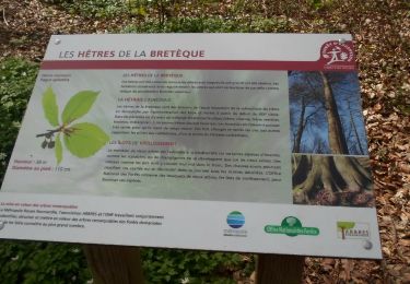 Randonnée Marche Houppeville - 20220412-La Breteque - Photo
