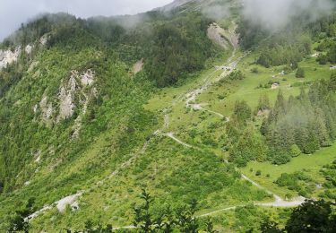 Trail Nordic walking Arbaz - Anzère par les Evouettes  - Photo