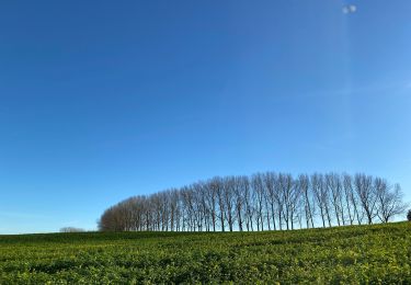 Randonnée Marche Wavre - Wavre nord Ottembourg Laurensart  - Photo