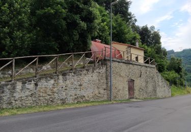 Tour Zu Fuß Cantagallo - Sentiero CAI 14 - Sez. Prato - Photo